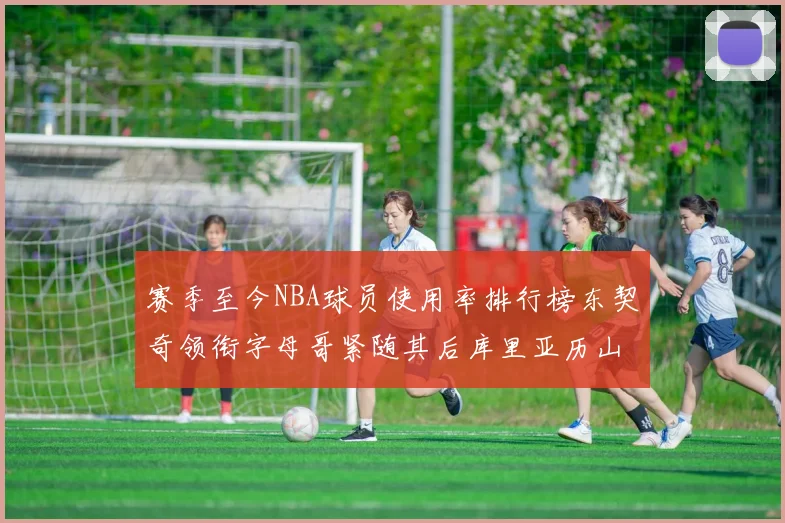 赛季至今NBA球员使用率排行榜东契奇领衔字母哥紧随其后库里亚历山大表现抢眼